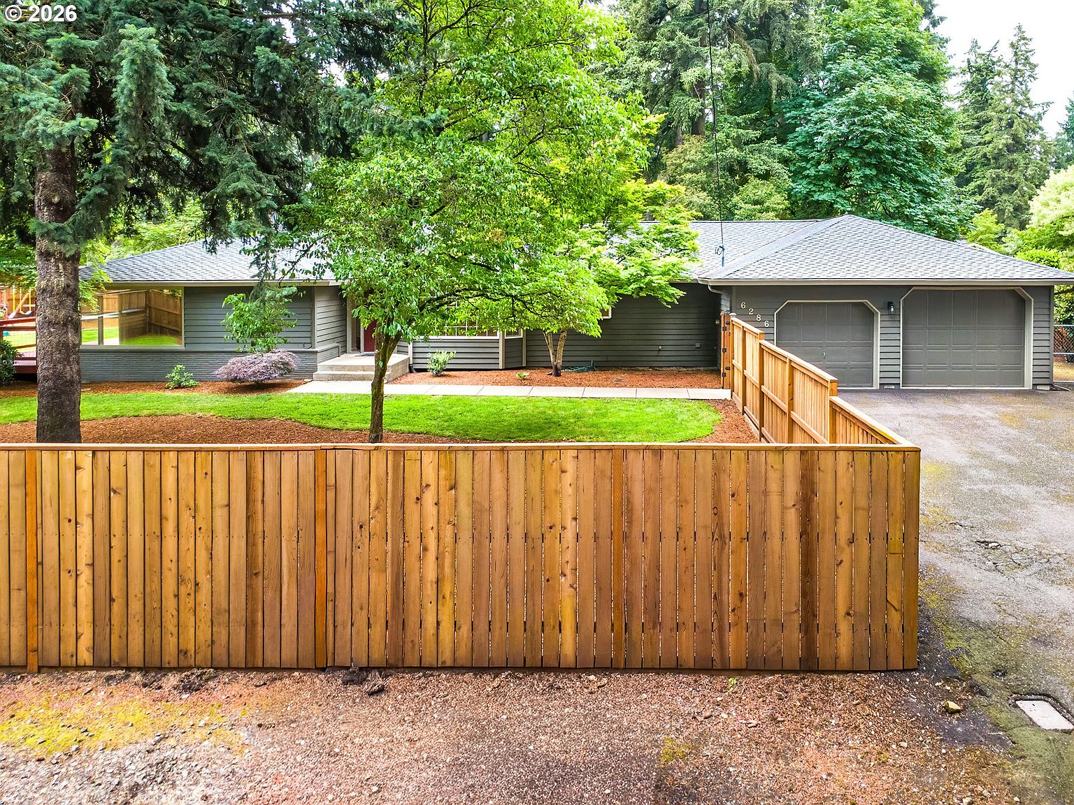 Streetside approach to 6286 SW Harrington Ave: the single-story 1952 ranch set behind a tall cedar privacy fence under mature Pacific Northwest trees